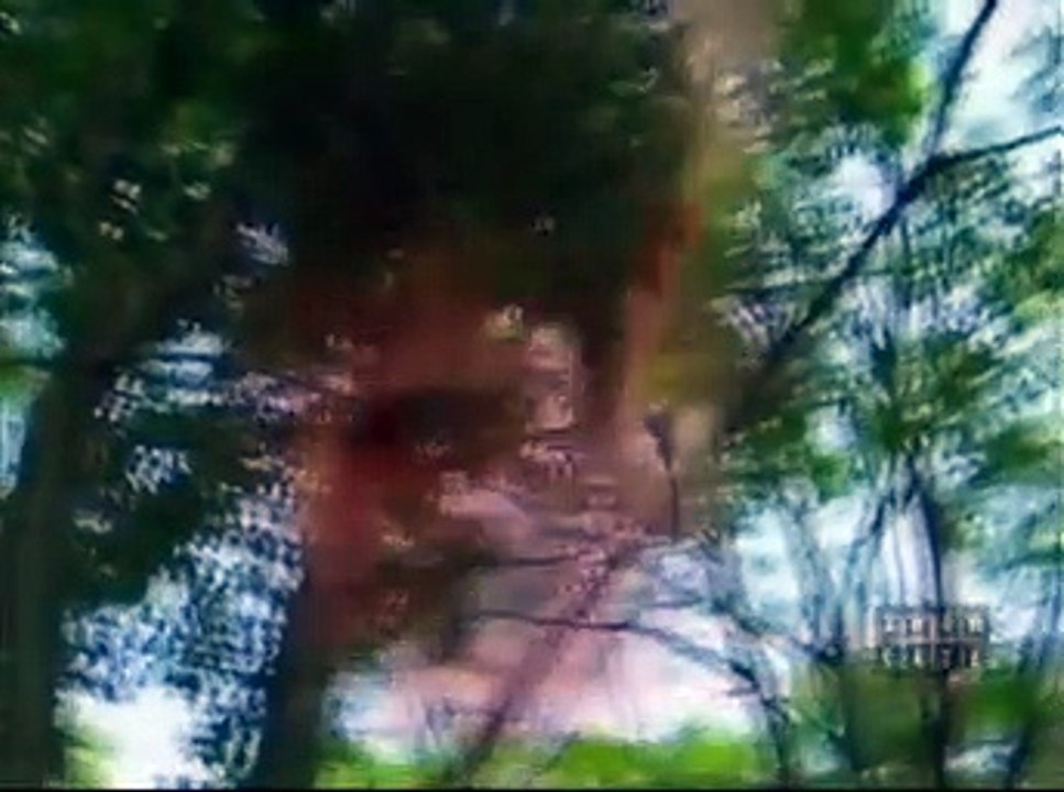 Paradise Falls - Rose's Date episode 7