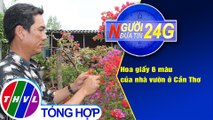 Người đưa tin 24G (6g30 ngày 26/1/2021) - Hoa giấy 6 màu của nhà vườn ở Cần Thơ