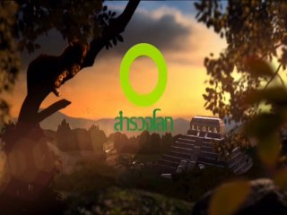 สารคดี เมนูของสัตว์ป่า ตอนที่ 8