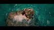 The Shallows Official Teaser Trailer #1 (2016) - Blake Lively Movie HD