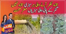 Vegetable farming with sewerage water hazardous for health