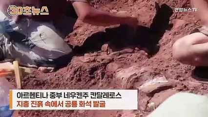 [30초뉴스] 이 화석의 정체는?…역대 최대 크기 공룡 추정