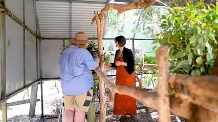 Australian scientists unveil a new 3D koala genome