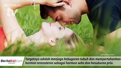 Olahraga Bersepeda Bikin Mandul?