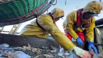 Atrapados en las redes del Brexit, los pesqueros ingleses ven desplomar sus exportaciónes a la UE