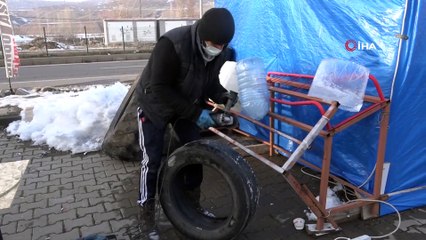 - Atıl durumdaki lastikler kedilere yuva oldu