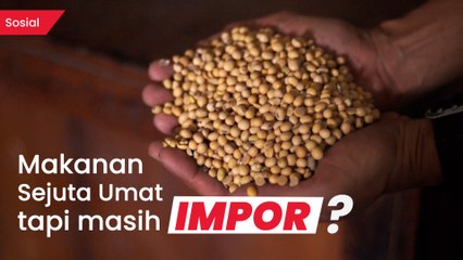 Ironi Tahu dan Tempe yang Bahan Bakunya Masih Kecanduan Impor