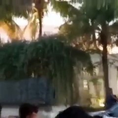 زفاف نجم بوليوود الوسيم  فارون داوان