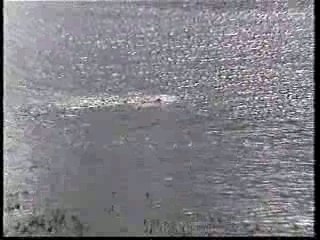 Puestos sidra en Navia 2001.