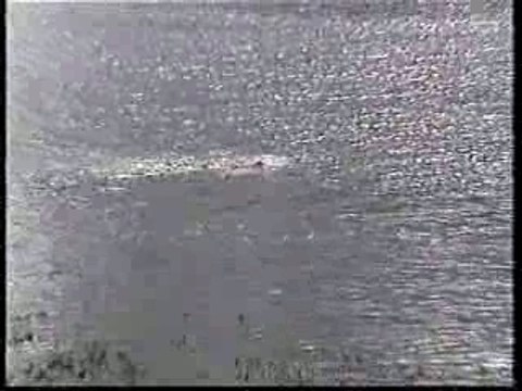 Puestos sidra en Navia 2001.