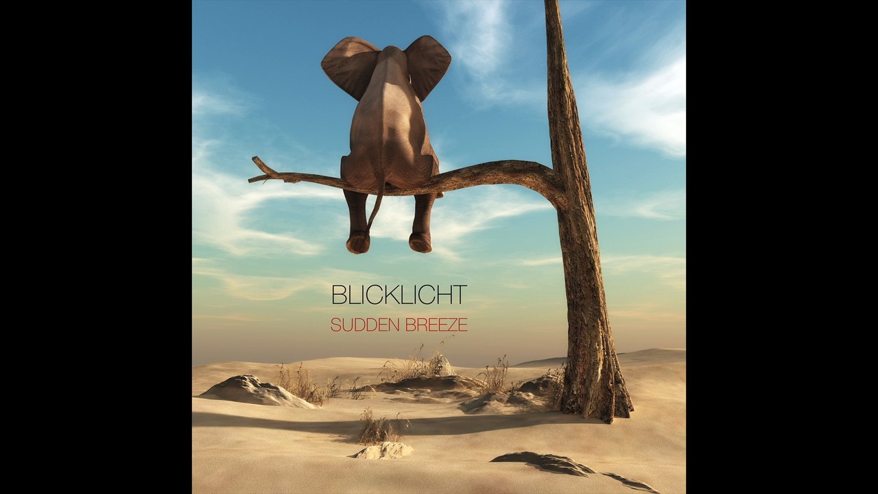 blicklicht album teaser