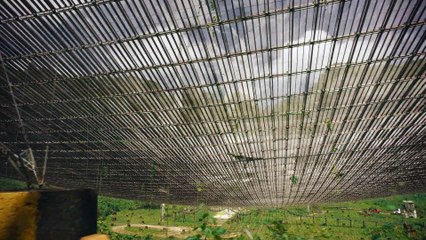 One Strange Rock S01E10 - Home