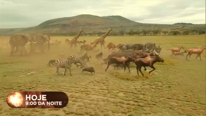 Resumo Capítulo 6 Novela Genesis