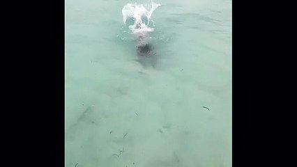 El vídeo de María Patiño buceando en el mar