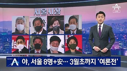 野, 서울시장 후보 8명+안철수…3월초까지 ‘여론전’