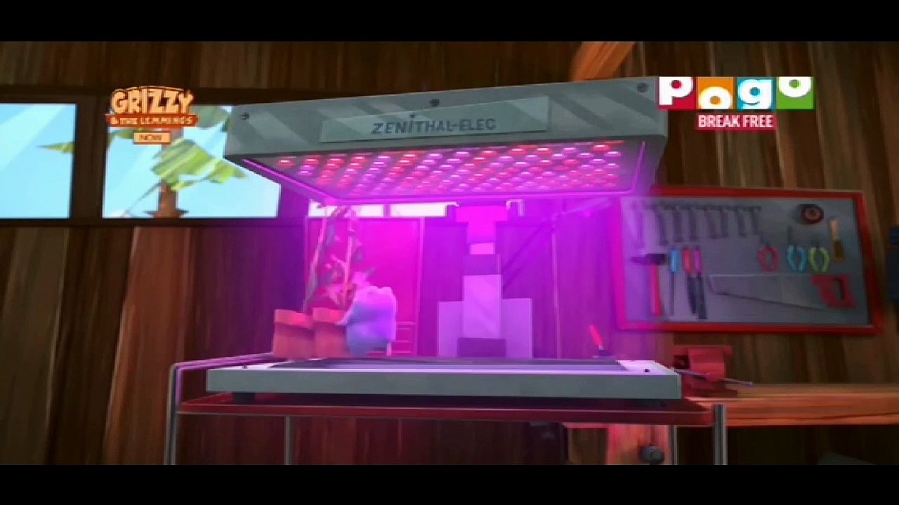 XXL Bear in Hindi Grizzy The Lemmings