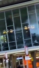 Avrupa'da kaos! Yağmalama başladı!