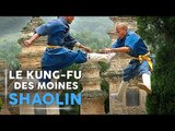 Les Techniques de Kung Fu des Moines Shaolin - Reportage COMPLET