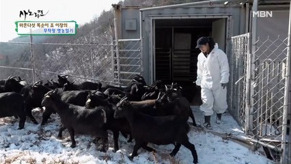 흑염소를 키우는 여장부! 혜진 씨와 흑염소의 하루!