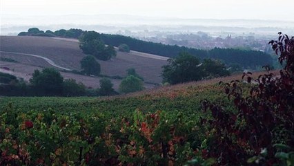 RABASTENS / AUTOMNE | Caméraman Toulouse Drone Tarn