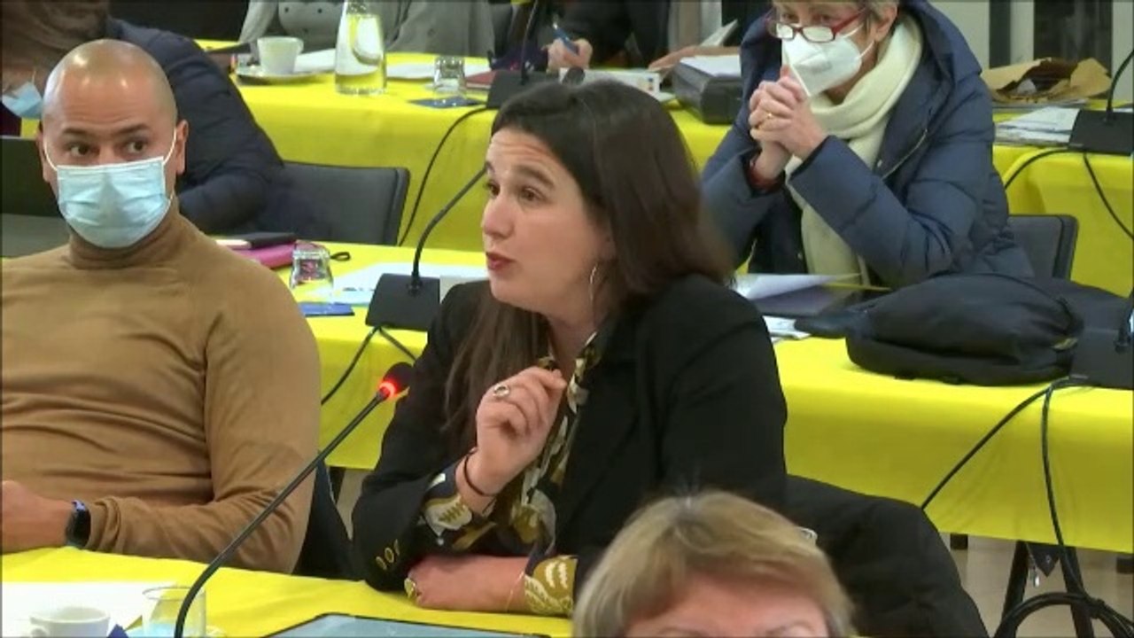 Celine MAGLICA. Plan d'actions pour les jeunes. Session du 25 janvier 2021