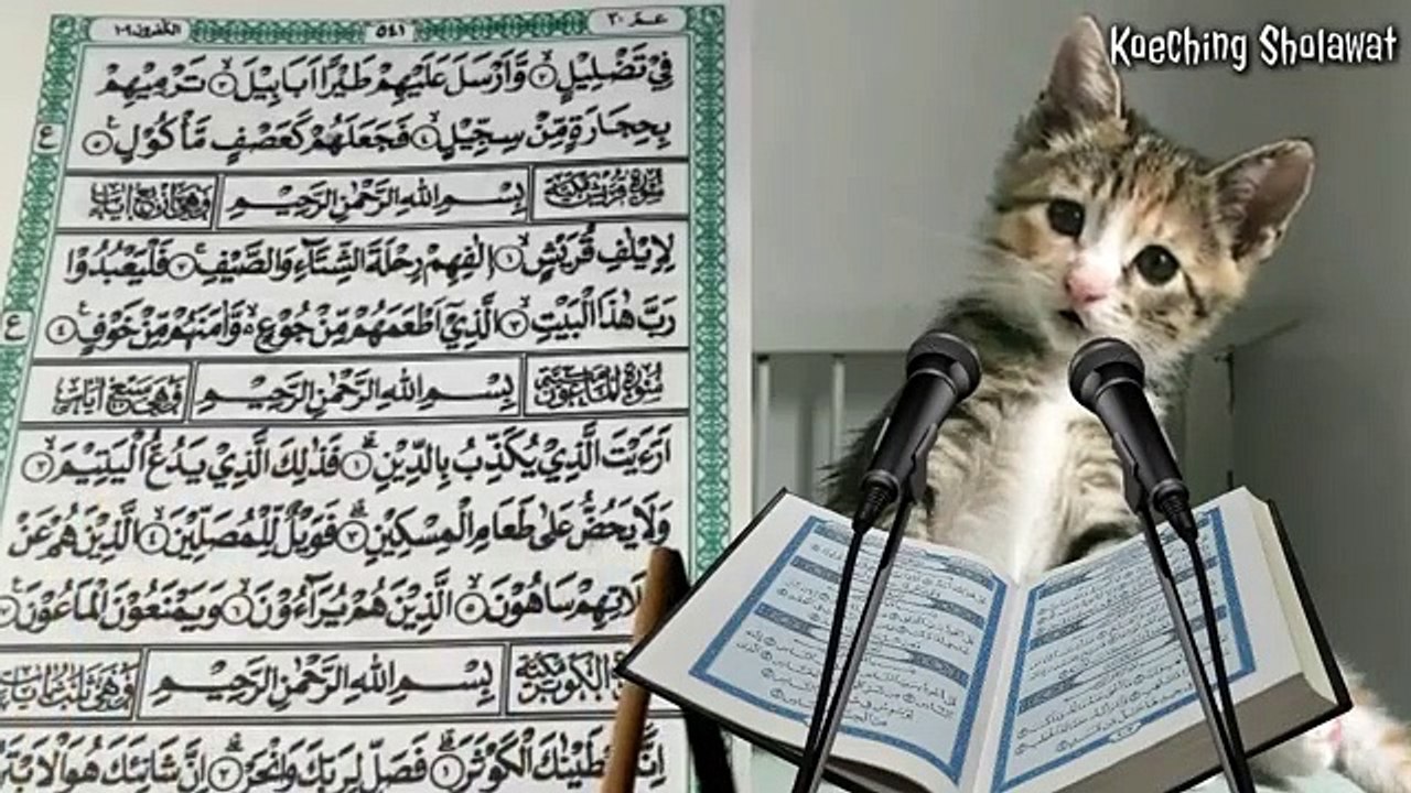 Kucing_Mengaji_Surat_Pendek_Merdu_-_Juz_Amma_surat_Al_Ma'un(360p)