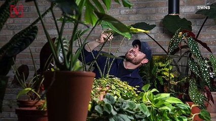House Plants Improve Emotional Well-Being During Lockdown