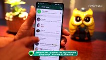 Telegram tem “problema real de privacidade e segurança”, diz chefe do WhatsApp