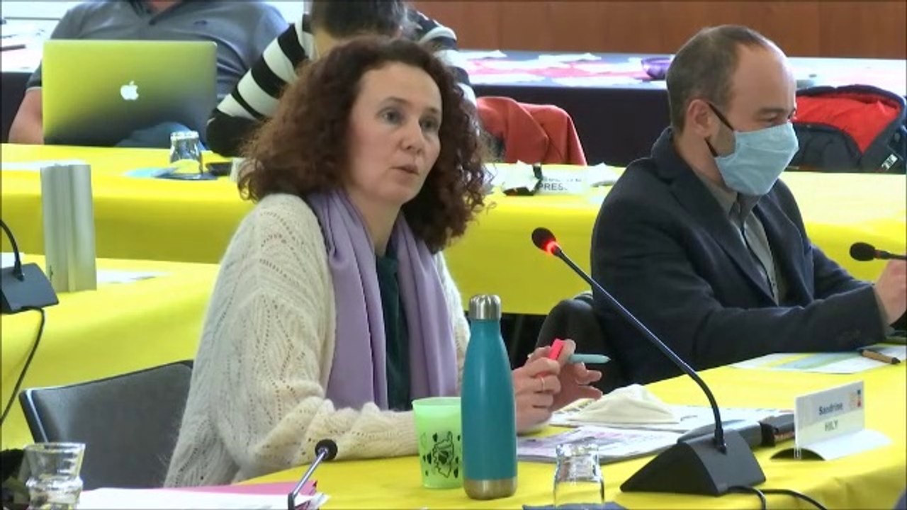 Sandrine HILY. Solidarités territoriales. Session du 25 janvier 2021