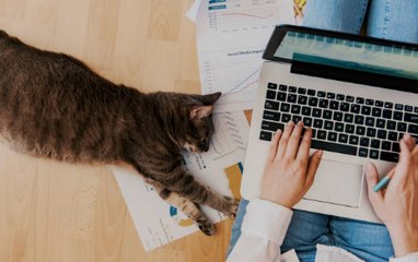 Give Your Work-From-Home Routine a Makeover