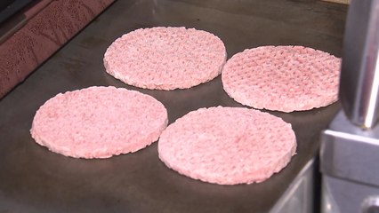 '맥도날드 불량 패티' 납품업자들 1심 집행유예..."솜방망이 처벌" / YTN