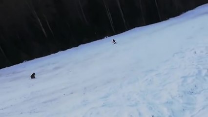 Un skieur se fait pourchasser par un ours