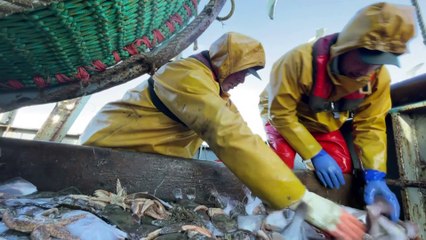 Pescadores britânicos navegam na incerteza