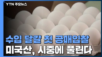수입 달걀 첫 공매입찰...미국산 오늘 시중에 풀린다 / YTN