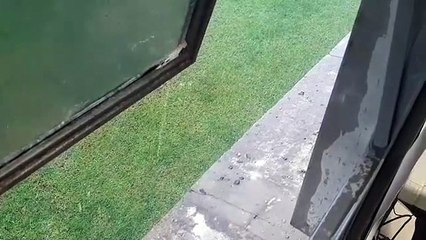 Chuva de granizo no Setor de Indústrias Gráficas.