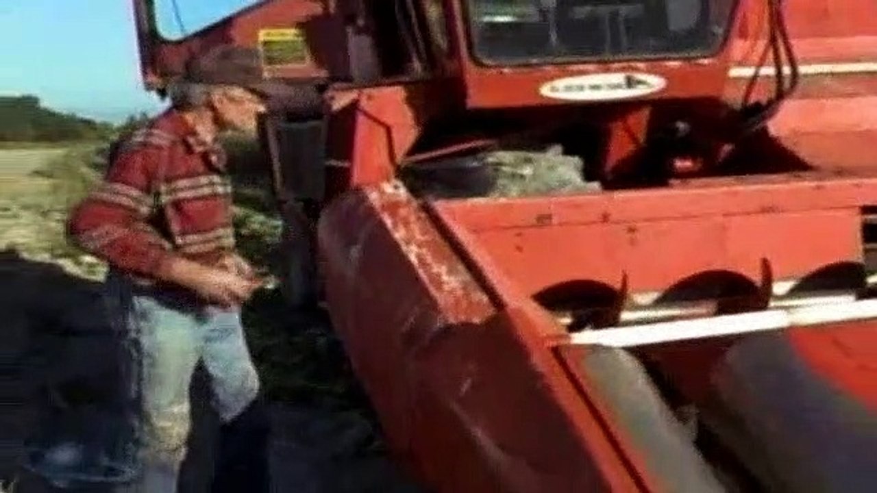 The Outer Limits Season 6 Episode 7 Seeds Of Destruction