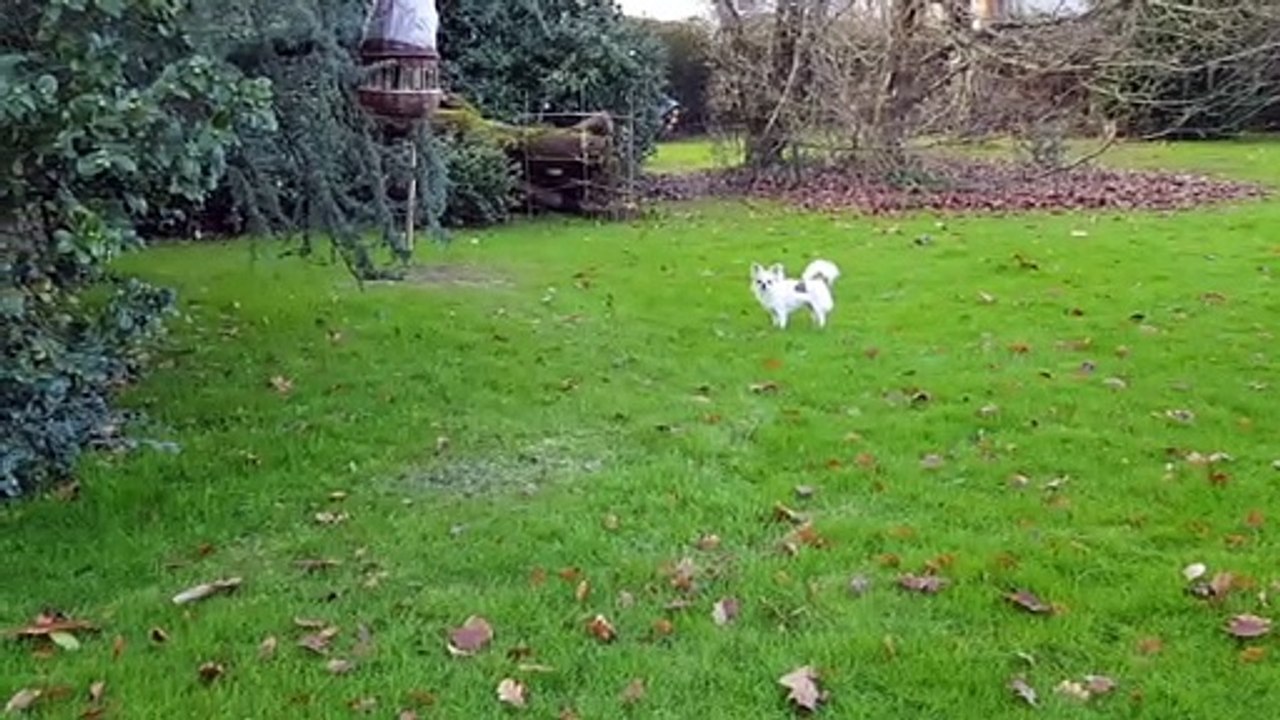 Les 2 petits au jardin