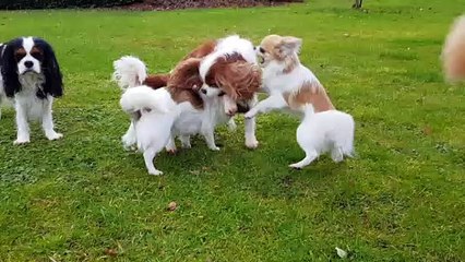 Jeux à 3 avec Juliane