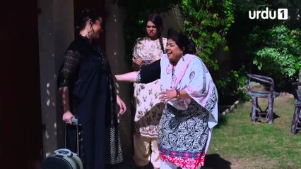 Dulha Bhai | Episode 31 | Comedy Play | Nabeel | Sophia Ahmed | Benita David | Urdu1 TV Dramas