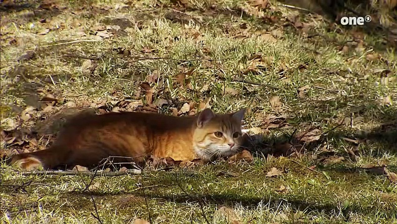 Julia und Niklas Folge 2221