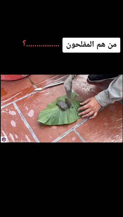 من هم المفلحون