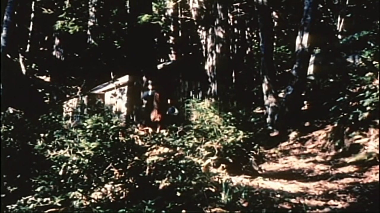 The Terror (1963) Francis Ford Coppola Full Horror, Thriller Movie part 1/2