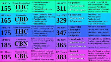 Spacebuds The Podcast Episode 3 - Cannabanoids, Terpenes, Entourage Effect & Time Travel