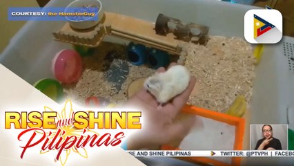 Kwentuhan kasama ang Philippine Hamster Keepers