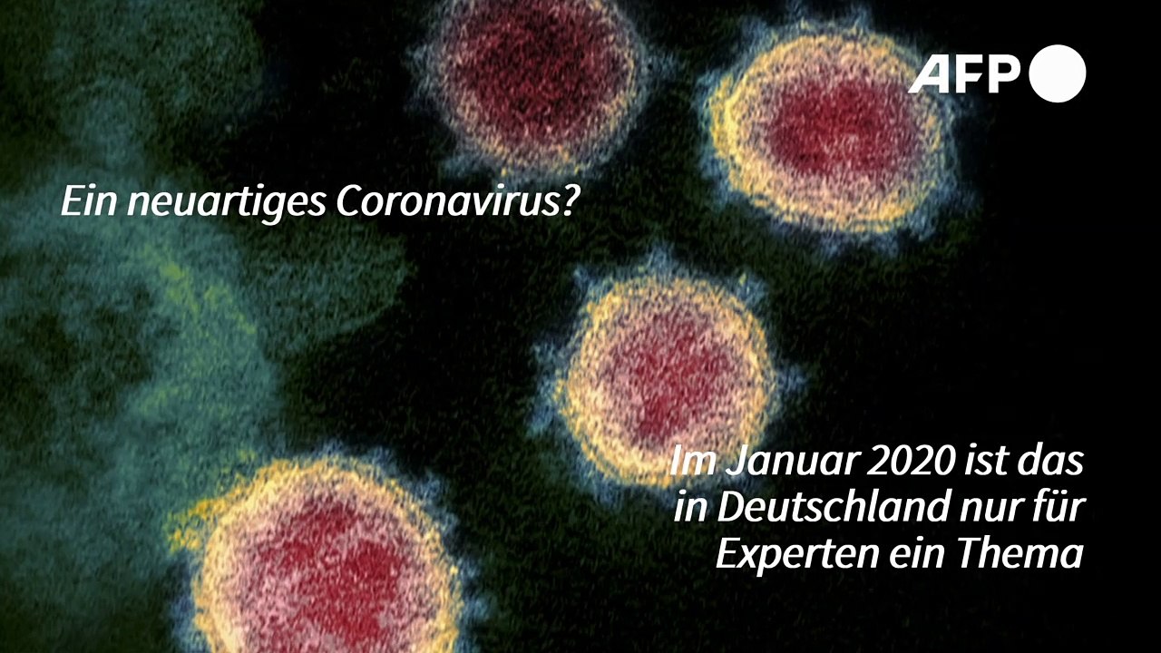 Vor einem Jahr: So begann die Coronavirus-Epidemie