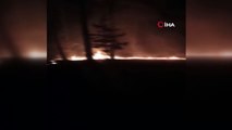 Adana’nı Pozantı ilçesinde ormanlık alanda yangın