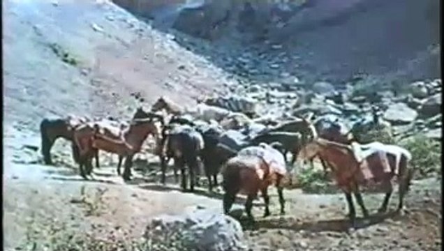 Người Apache - Apache Rifles (1964) thuyết minh (phần 2)