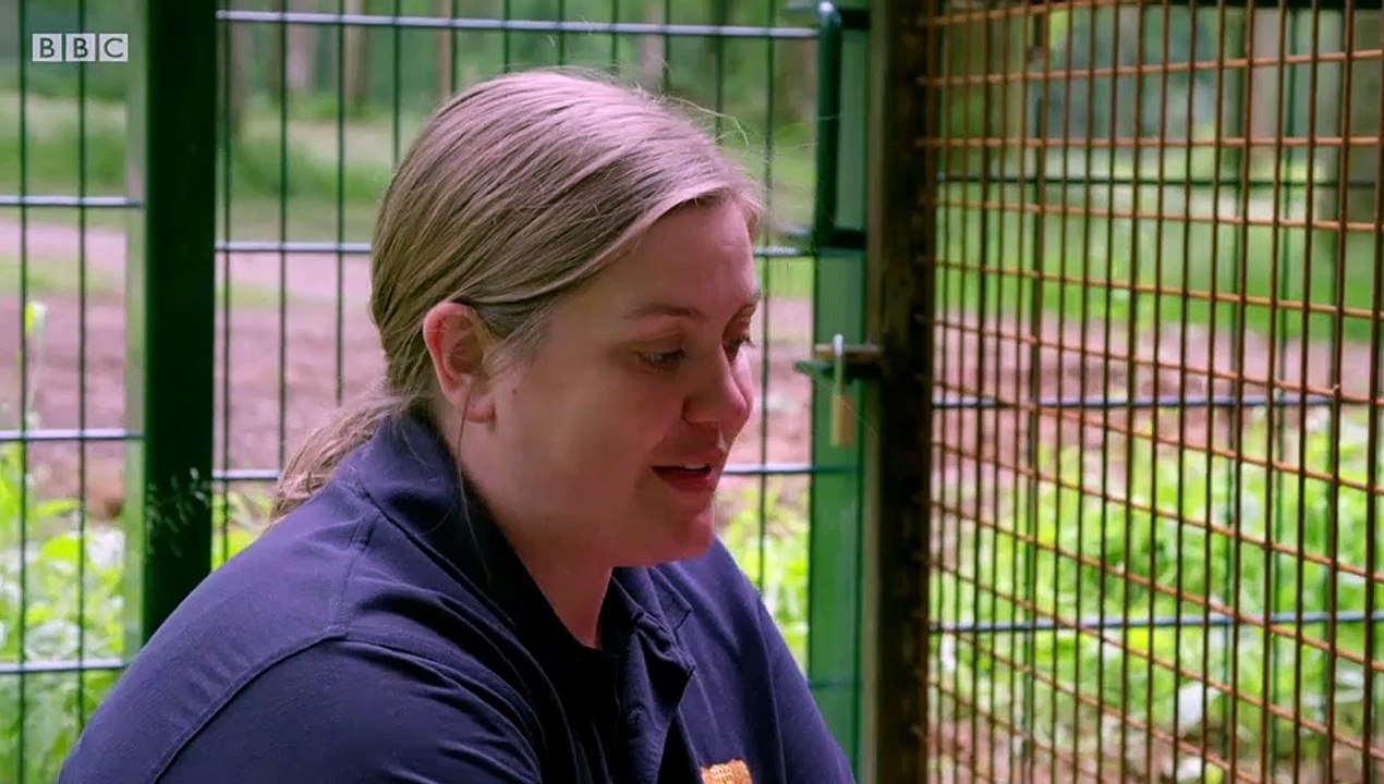 Animal Park Compilation Specials S01E09 (28 May 2020)