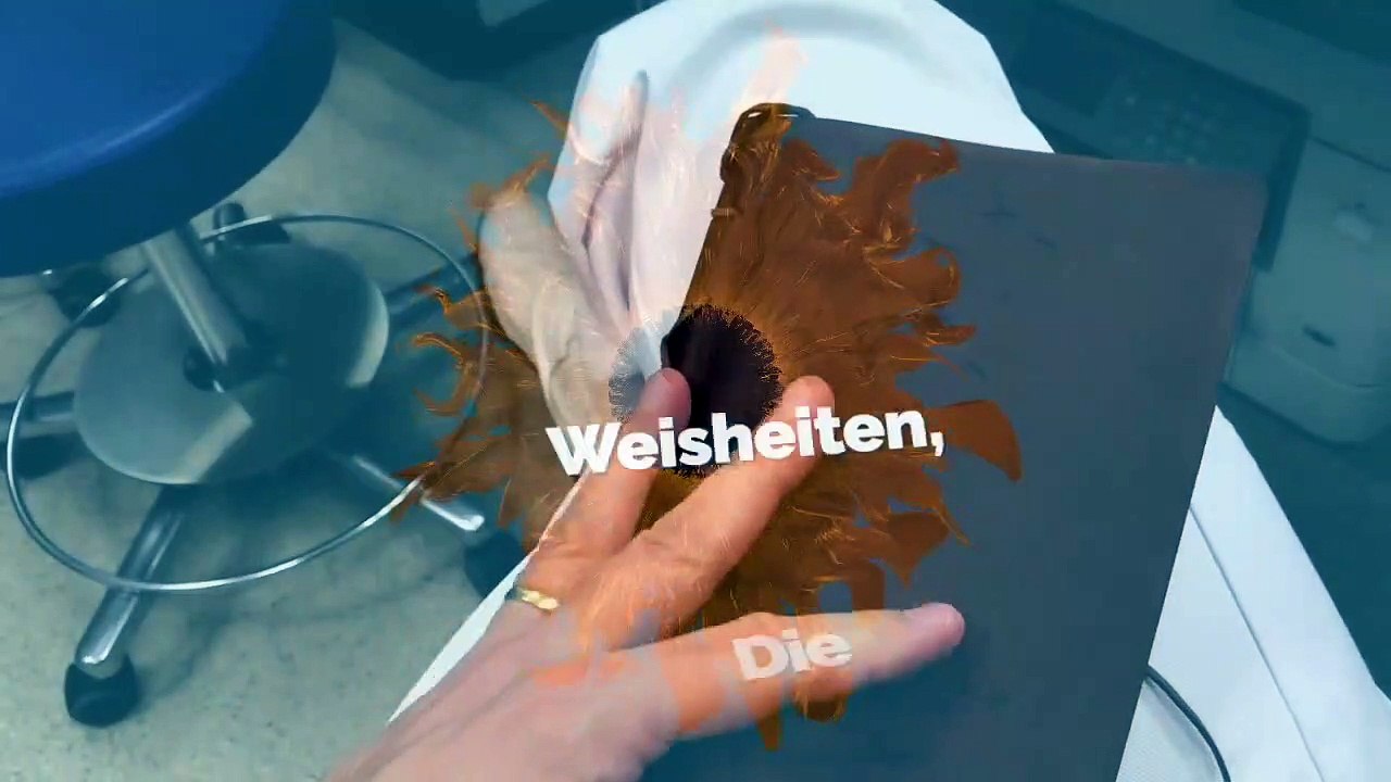 Weisheiten 6