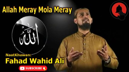 Allah Mere Mula Mere | Naat | Sayed Fahad Wahid Ali| Hamd | HD video